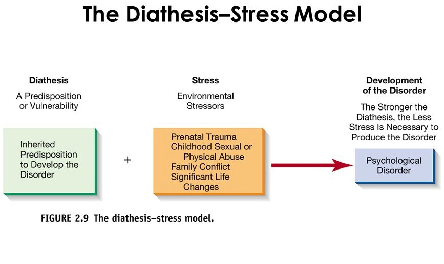 Diathesis-Stress Model.png